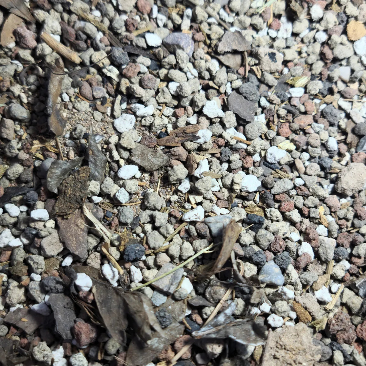 6kg, Tierra, Sustrato Para Lithops