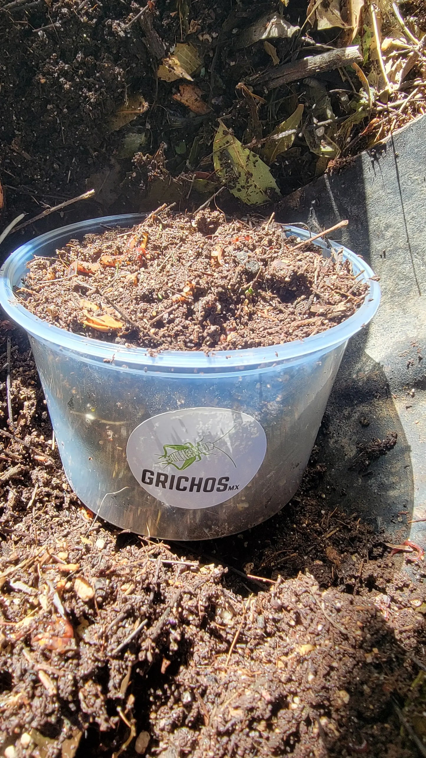 Lombriz Roja Californiana para Compostaje y Fertilización Orgánica | Mejora Tu Suelo de Forma Ecológica