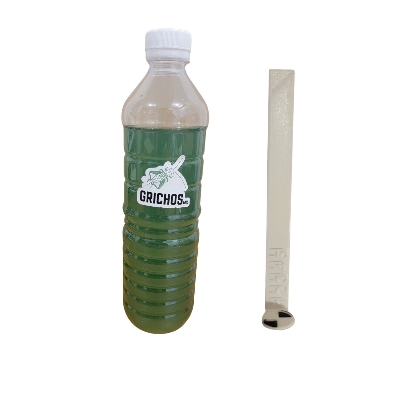 Kit de inicio Espirulina Viva | Alga Natural para Cultivo Casero – Grichos.mx