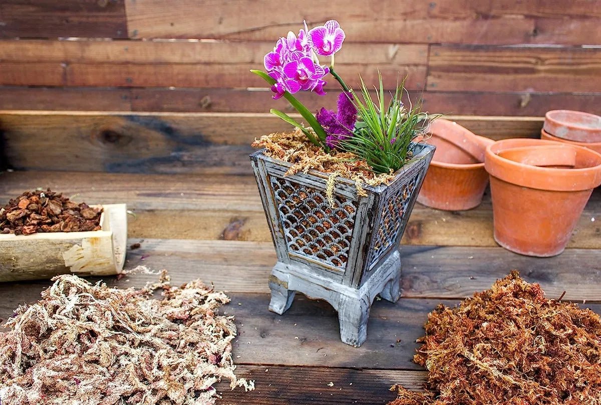 Supermoss Musgo Seco Para Orquídea Sphagnum Seco