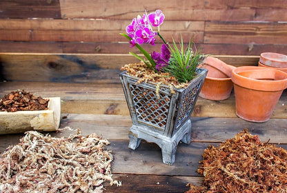 Supermoss Musgo Seco Para Orquídea Sphagnum Seco