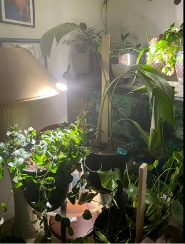 Foco Luz Led Sansi 10w Espectro Completo Para Plantas