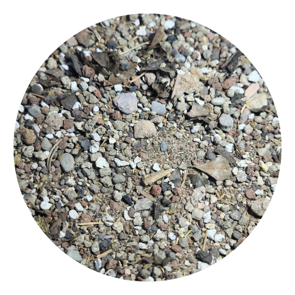 6kg, Tierra, Sustrato Para Lithops