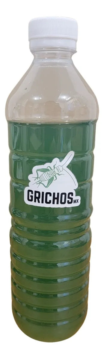 Kit de Cultivo de Espirulina Viva para 100 Litros (Cepa y Nutrientes) | Grichos