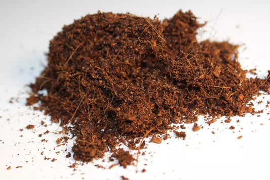 Sustrato de Fibra de Coco 1Lt