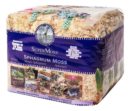 Musgo Sphagnum Seco para Orquídeas y Terrarios | Grichos